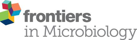 Alterations in the intestinal microbiome and metabolic profile of patients with cirrhosis supplemented with lactulose, Clostridium butyricum, and Bifidobacterium longum infantis: a randomized placebo-controlled trial