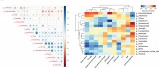 临床标志物-特征性物种关联分析
